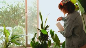 Why Plant Care Creators Should Add Montage Videos to Their Content Strategy